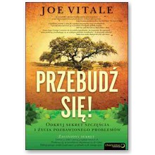 Przebud� si�! Odkryj sekret szcz�cia i �ycia pozbawionego problem�w - Joe Vitale