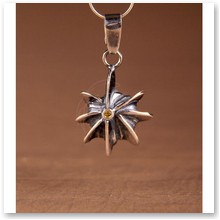 Czakram Splotu S�onecznego srebro (T/51.3) - 