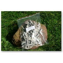 Bia�a Sza�wia - susz (50 g) - 