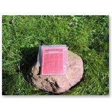 Red Sandal powder - czerwony sanda� - 