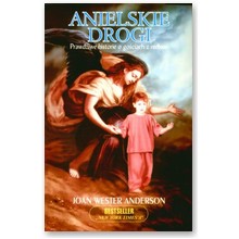 Anielskie drogi. Prawdziwe historie o go�ciach z niebios - Joan Wester Anderson
