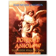 Powr�t anio��w. Prawdziwe historie niebia�skich spotka� - Joan Wester Anderson