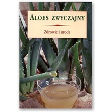 Aloes zwyczajny - 