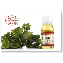 Olej arganowy kosmetyczny - butelka szklana 60ml - 