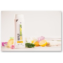 Sesa Szampon Przeciw�upie�owy 400 ml - 